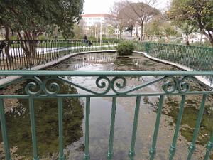 10 Plan d'eau pour Poissons